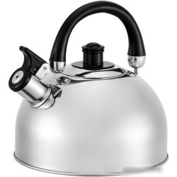 WEBBER Чайник со свистком BE-0528 4.5л