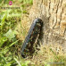Нож перочинный Victorinox Climber (1.3703.94) 91мм 14функций камуфляж карт.коробка