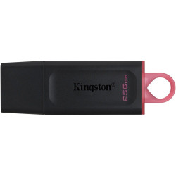 Флеш Диск Kingston 256Gb DataTraveler Exodia DTX/256GB USB3.1 черный/красный