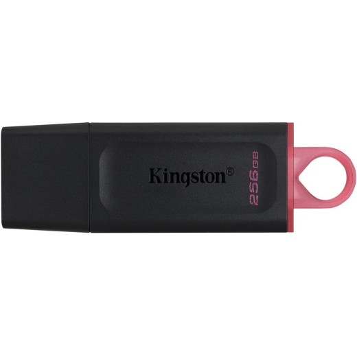 Флеш Диск Kingston 256Gb DataTraveler Exodia DTX/256GB USB3.1 черный/красный