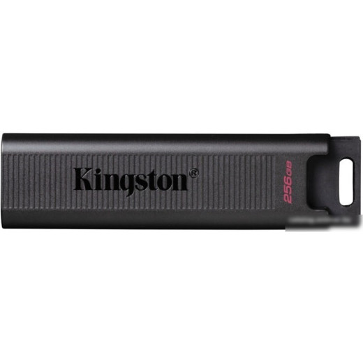 Флеш Диск Kingston 256Gb DataTraveler Type-C Max DTMAX/256GB USB3.2 черный