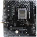 Материнская плата BIOSTAR A620MS-E Ver. 6.0