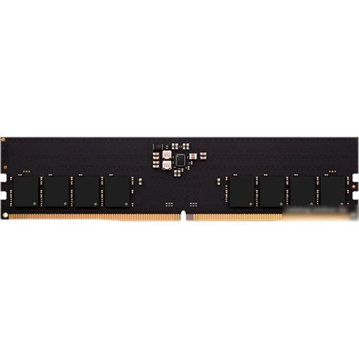 Оперативная память AMD Radeon R5 Entertainment Series 16ГБ DDR5 4800 МГц R5516G4800U1S-U