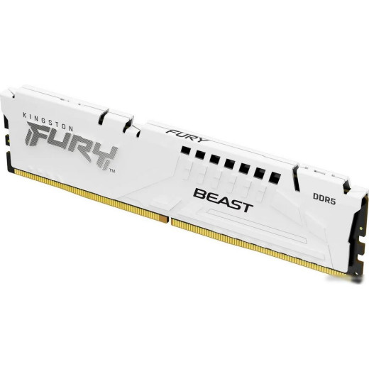 Оперативная память Kingston FURY Beast 16ГБ DDR5 6000 МГц KF560C30BWE-16