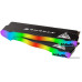 Оперативная память Patriot Viper Xtreme 5 RGB 2x24ГБ DDR5 8000МГц PVXR548G80C38K
