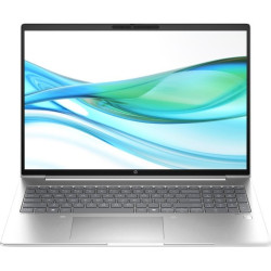 Ноутбук HP ProBook 460 G11 D2FP5ET