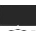 Монитор ExeGate SmartView EP2400A EX295526RUS