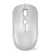 Мышь A4Tech Fstyler FM26S (серебристый)