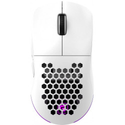 Игровая мышь Oklick 900GMW (белый)