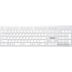Клавиатура A4Tech Fstyler FBX50C (серебристый/белый)