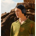 Наушники Sennheiser Accentum Wireless (черный)