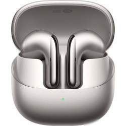 Наушники Xiaomi Buds 5 M2341E1 (серый титан, международная версия)