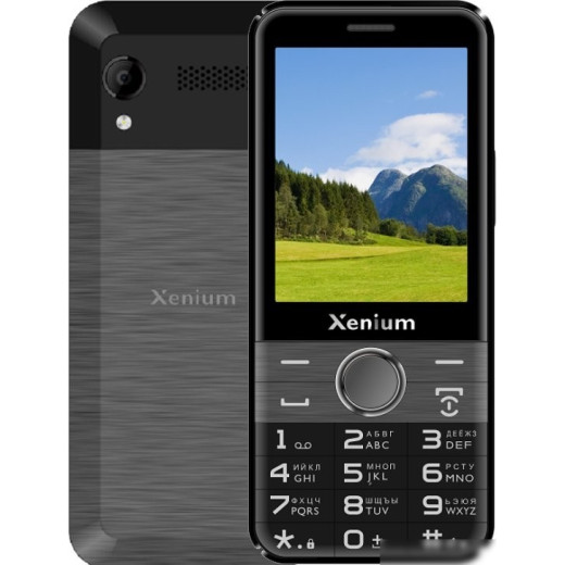 Кнопочный телефон Xenium X800 (черный/серый)