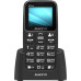 Кнопочный телефон Maxvi B110ds (черный)