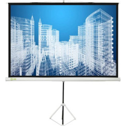 Экран Cactus 180x180см Triscreen CS-PST-180x180 1:1 напольный рулонный белый