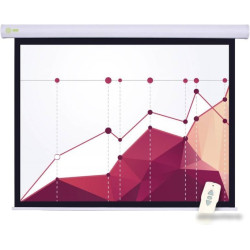 Экран Cactus 183x244см Motoscreen CS-PSM-183x244 4:3 настенно-потолочный рулонный (моторизованный привод)