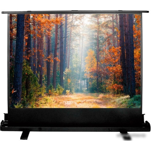Экран Cactus 120x160см FloorExpert CS-PSFLE-160X120 4:3 напольный рулонный