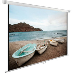 Экран Cactus 125x200см WallExpert CS-PSWE-200x125-WT 16:10 настенно-потолочный рулонный