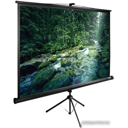 Экран Cactus 165x220см TriExpert CS-PSTE-220x165-BK 4:3 напольный рулонный черный