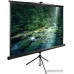 Экран Cactus 165x220см TriExpert CS-PSTE-220x165-BK 4:3 напольный рулонный черный