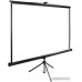 Экран Cactus 165x220см TriExpert CS-PSTE-220x165-BK 4:3 напольный рулонный черный