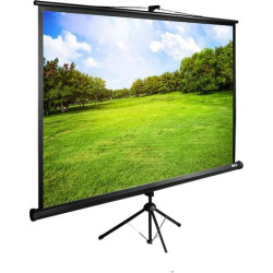 Экран Cactus 160x160см TriExpert CS-PSTE-160x160-BK 1:1 напольный рулонный черный