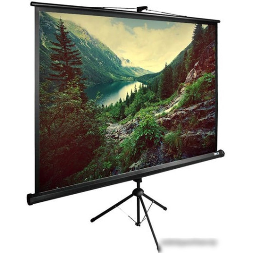 Экран Cactus 220x220см TriExpert CS-PSTE-220x220-BK 1:1 напольный рулонный черный