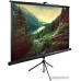 Экран Cactus 220x220см TriExpert CS-PSTE-220x220-BK 1:1 напольный рулонный черный