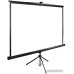 Экран Cactus 220x220см TriExpert CS-PSTE-220x220-BK 1:1 напольный рулонный черный