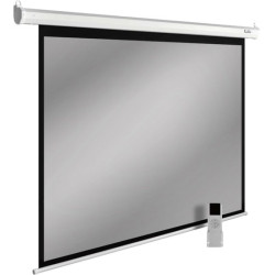 Экран Cactus 138x220см SIlverMotoExpert CS-PSSME-220X138-DG 16:10 настенно-потолочный рулонный тёмно-серый (моторизованный привод)