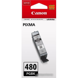 Картридж струйный Canon PGI-480 PGBK 2077C001 черный (11.2мл) для Canon Pixma TS6140/TS8140TS/TS9140/TR7540/TR8540