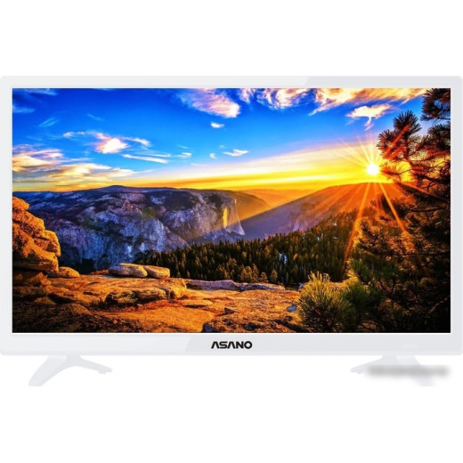 ЖК-Телевизор Asano 24LH1011T диагональ 23.6 (60 см), разрешение 720p HD, цвет корпуса белый
